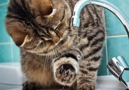 Причини аварійних ситуацій водопостачання