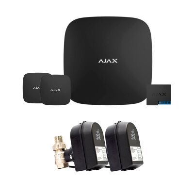 Ajax Hub 2 + LeaksProtect (2од) + WallSwitch + кран з електроприводом Honeywell 220 DUO Ду32