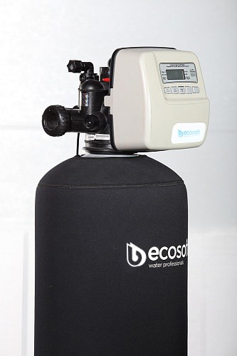 Фільтр для видалення сірководню Ecosoft FPC 1665CT