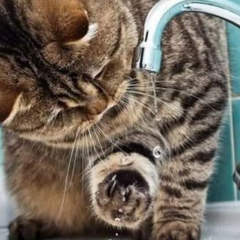 Причини аварійних ситуацій водопостачання