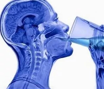 Сколько воды в теле человека